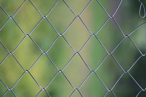 Chain link